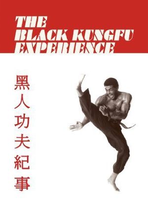 The Black Kung Fu Experience海报封面图