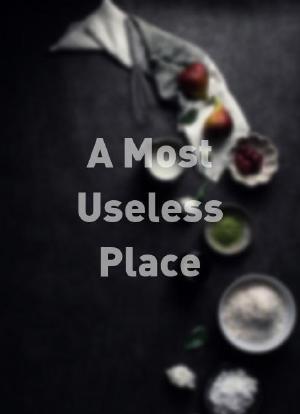 A Most Useless Place海报封面图