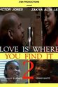 Ashley P. Jones Love Is Where You Find It 2