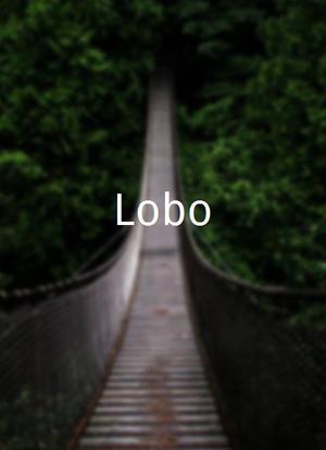 Lobo海报封面图