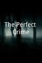 Jason Jay Martinez The Perfect Crime