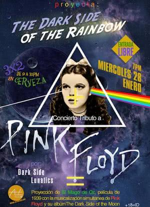 The Legend Floyd: The Dark Side of the Rainbow海报封面图