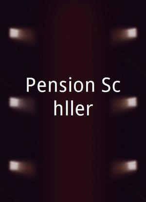 Pension Schöller海报封面图