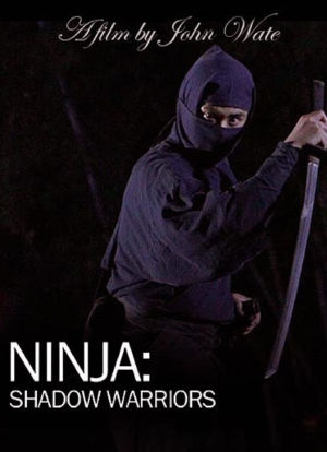Ninja Shadow Warriors海报封面图