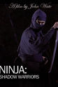 Antony Cummins Ninja Shadow Warriors