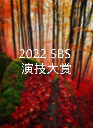 2022 SBS 演技大赏海报封面图