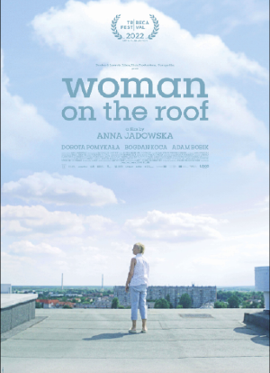 屋顶上的女人海报封面图
