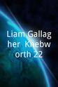 利亚姆·加拉格尔 Liam Gallagher: Knebworth 22