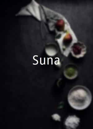 Suna海报封面图