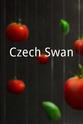 亚历珊德拉·特平斯卡 Czech Swan