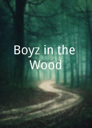 树林里的男孩海报封面图