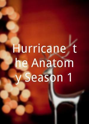Hurricane, the Anatomy Season 1海报封面图
