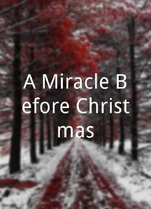 A Miracle Before Christmas海报封面图