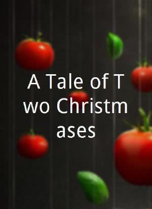 两个圣诞节的故事海报封面图