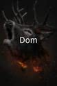 若昂·威托尔·奥利维拉 Dom