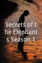 Joyce Poole 大象的秘密 第一季