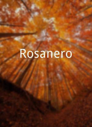 Rosanero海报封面图