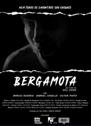 Bergamota海报封面图