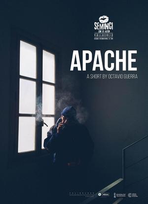Apache海报封面图
