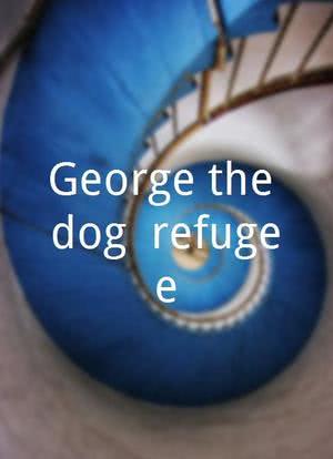 乔治是条狗海报封面图