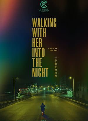 一个散步的夜晚海报封面图