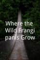 东尼·达玛拉 Where the Wild Frangipanis Grow