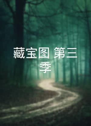 藏宝图 第三季海报封面图
