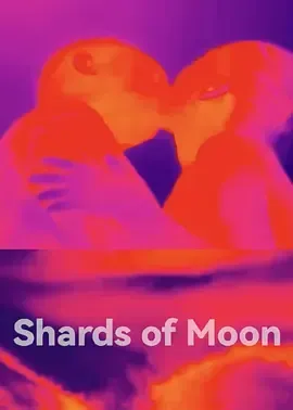 月亮残片海报封面图