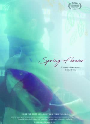 Spring Flower海报封面图