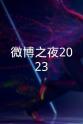 宋佳 2023微博电影之夜