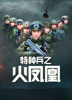 特种兵之火凤凰 DVD版海报封面图