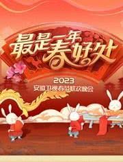 2023安徽卫视春节联欢晚会海报封面图