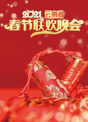 2021年云南省春节联欢晚会海报封面图