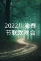 冯亚男 2023川渝春节联欢晚会