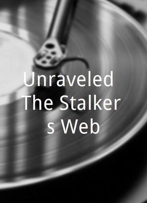 Unraveled: The Stalker's Web海报封面图