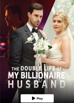 我的亿万富翁丈夫的双重生活海报封面图