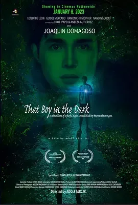 黑暗中的男孩海报封面图