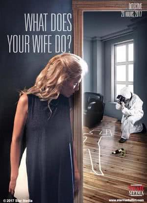 你妻子以前做什么？海报封面图