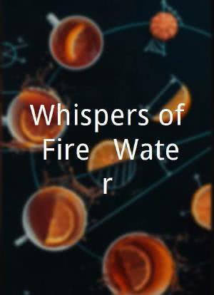 火与水的低语海报封面图