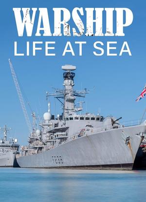 Warship: Life at Sea Season 3海报封面图
