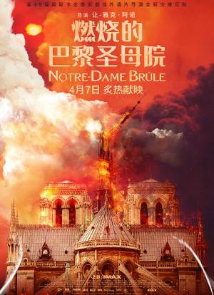 燃烧的巴黎圣母院海报封面图
