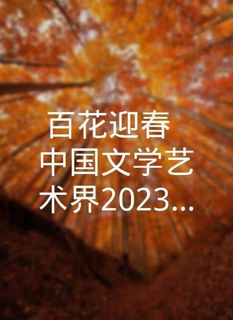 2023百花迎春·文联春晚海报剧照
