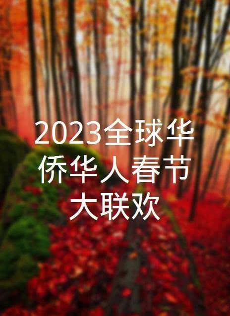 2023全球华侨华人春节大联欢海报剧照