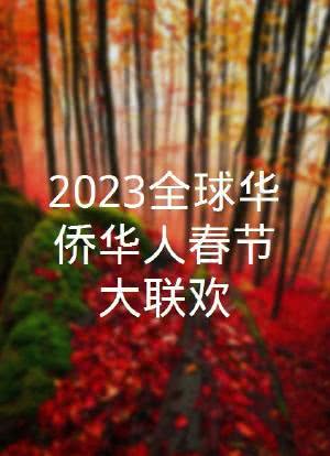 2023全球华侨华人春节大联欢海报封面图