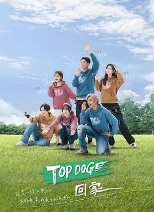 TOP DOG回家海报封面图
