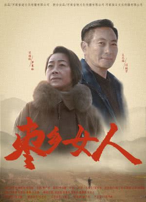 枣乡女人（戏曲豫剧）海报封面图