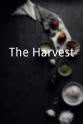杨佩里 The Harvest