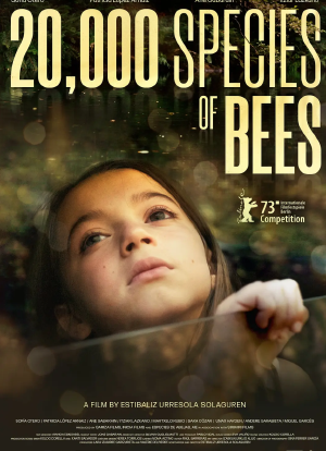 两万种蜜蜂海报封面图