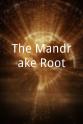Jonathan Owen The Mandrake Root