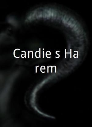 Candie's Harem海报封面图
